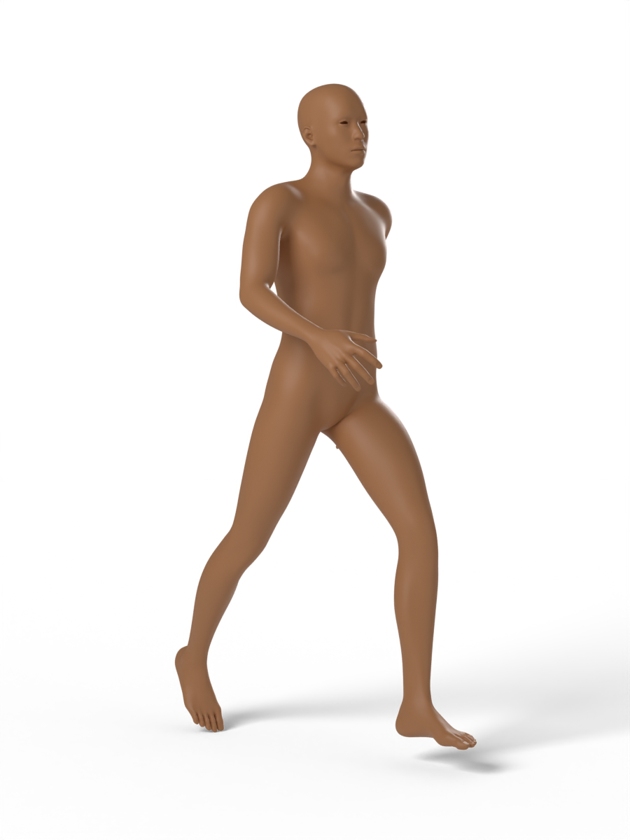 Walking, mid-stride — figure drawing reference
